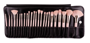 Pretty in pink 24 pc brush set